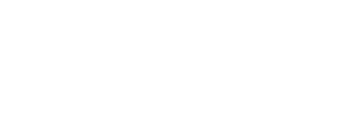 BSMS Logo